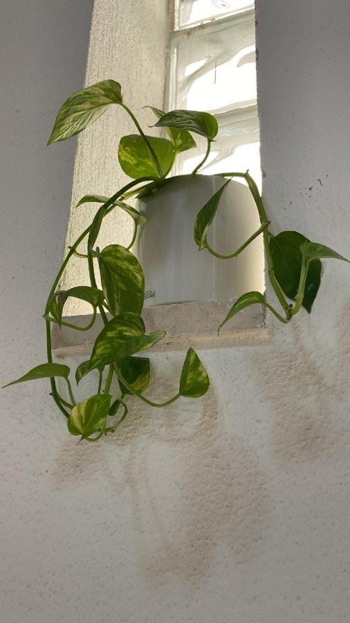 Locanda Le Ginestre Cantalupo in Sabina Ngoại thất bức ảnh