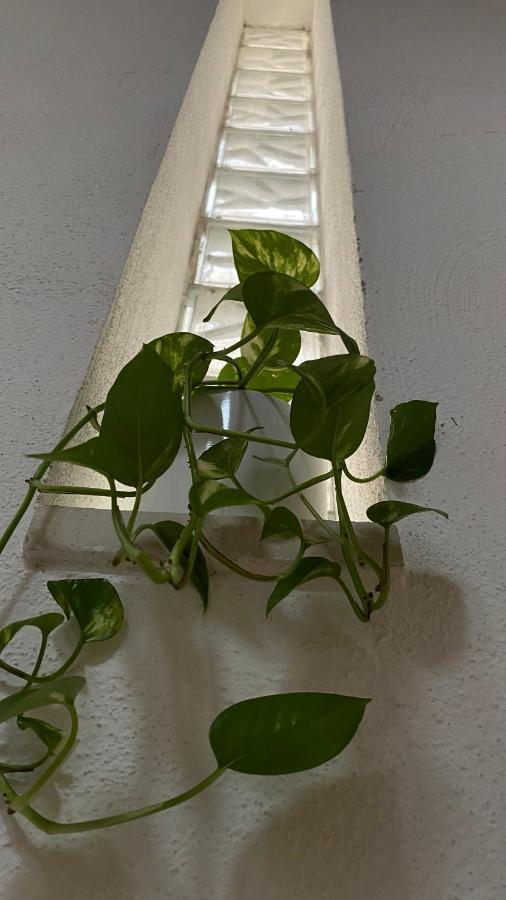 Locanda Le Ginestre Cantalupo in Sabina Ngoại thất bức ảnh